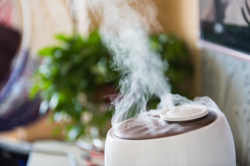 Ultimate Guide of Humidifier